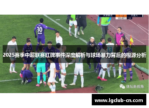 2025赛季中超联赛红牌事件深度解析与球场暴力背后的根源分析