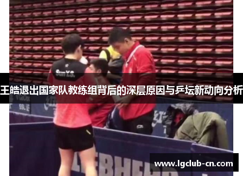 王皓退出国家队教练组背后的深层原因与乒坛新动向分析