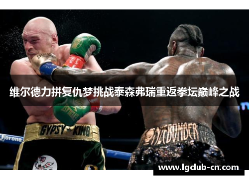 维尔德力拼复仇梦挑战泰森弗瑞重返拳坛巅峰之战